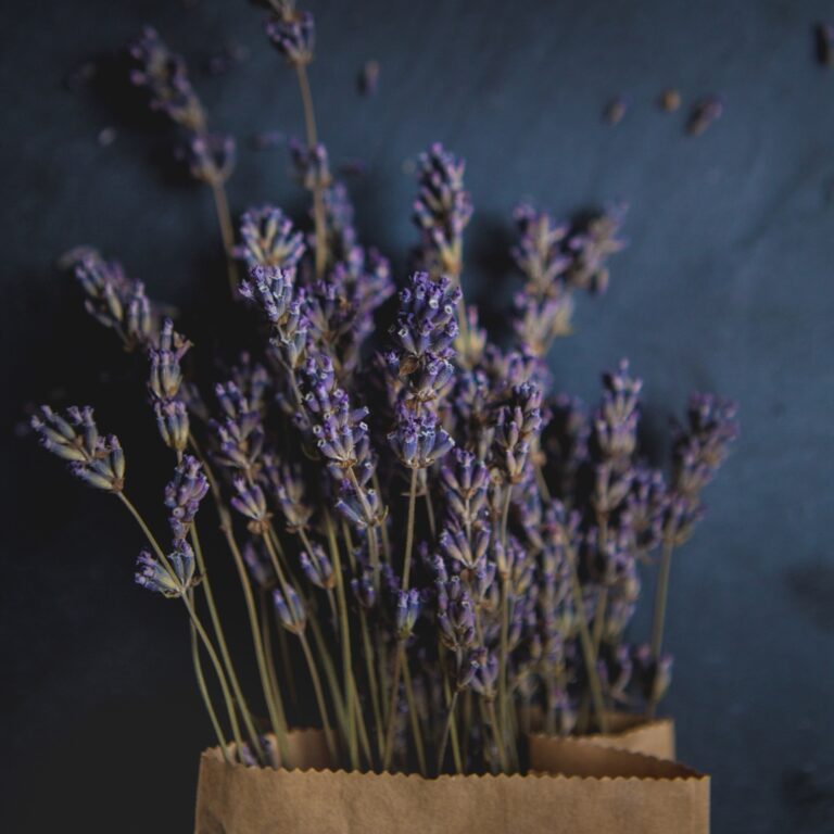 Monikäyttöinen laventeliöljy