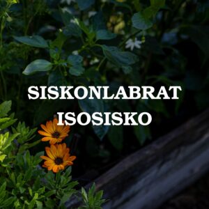 Isosisko - laaja laboratoriotutkimuspaketti