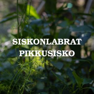Pikkusisko-peruslaboratoriotutkimuspaketti
